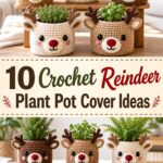 Crochet Reindeer Plant Pot Cover Ideas
