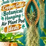 Crochet Jade Green and Copper Gold Botanical Hanging Air Plant Pod Ideas