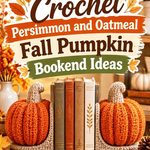 Crochet Persimmon and Oatmeal Fall Pumpkin Bookend Ideas